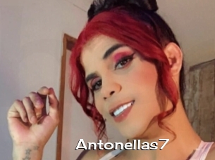 Antonellas7