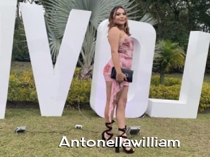 Antonellawilliam