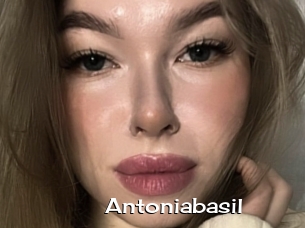 Antoniabasil