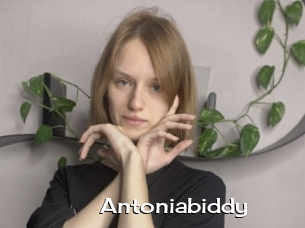 Antoniabiddy