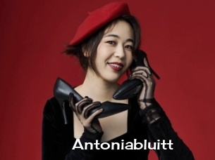 Antoniabluitt