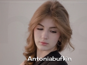 Antoniabufkin