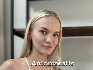 Antoniacatts