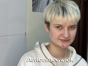 Antoniacowick