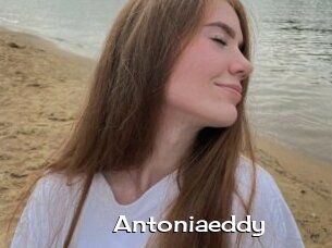 Antoniaeddy