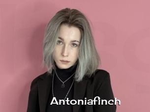 Antoniafinch