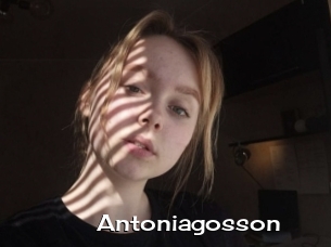 Antoniagosson
