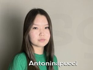 Antoninapucci