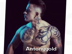 Antonygold