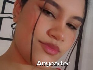 Anycarter