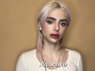 Aracaris