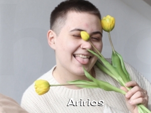Aririos