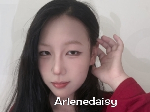 Arlenedaisy
