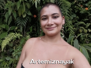 Artemiznayak