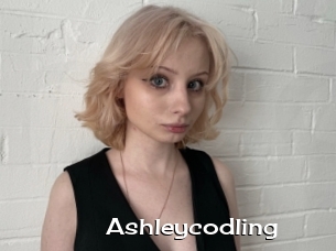 Ashleycodling