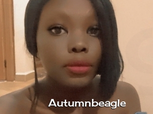 Autumnbeagle