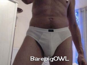 BarepigOWL