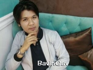 BavinGav