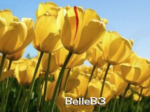 BelleB3