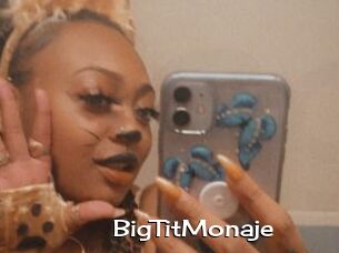 BigTitMonaje