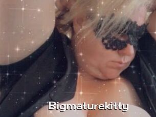 Bigmaturekitty