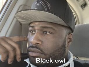 Black_owl