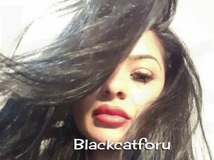 Blackcatforu