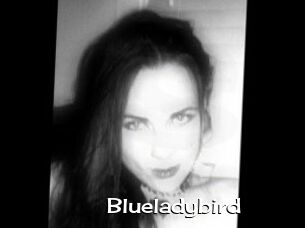 Blueladybird
