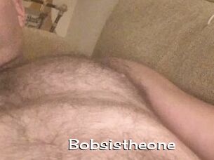 Bobsistheone