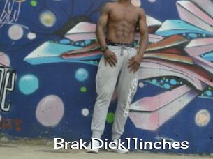 Brak_Dick11inches