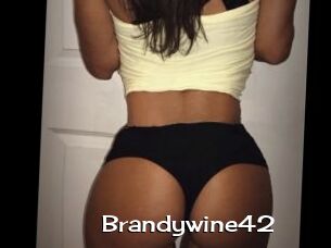 Brandywine42