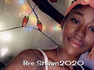 Bre_Shawn2020