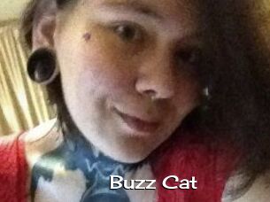 Buzz_Cat