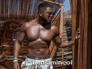 benjamincol Hardcore Sex Gif