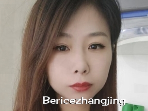 Bericezhangjing