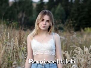 Berniecelittleb