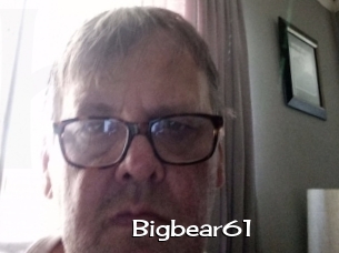 Bigbear61