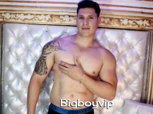 Bigboyvip