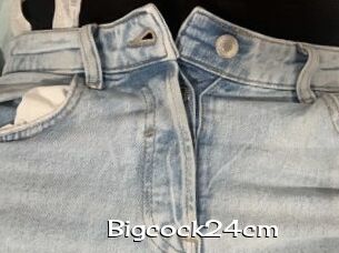 Bigcock24cm
