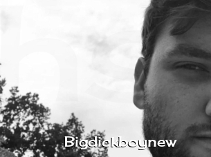 Bigdickboynew