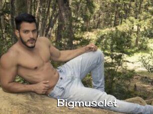 Bigmusclet