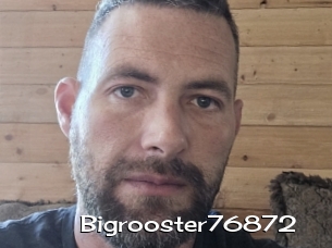 Bigrooster76872