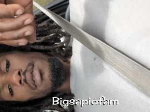 Bigsapiofam