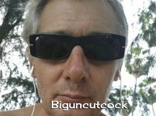 Biguncutcock