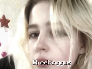 Breeboggus