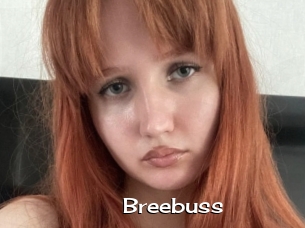 Breebuss