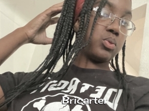 Bricarter