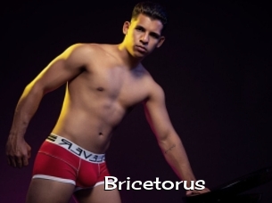 Bricetorus