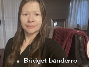Bridget_banderro