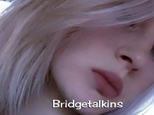 Bridgetalkins
